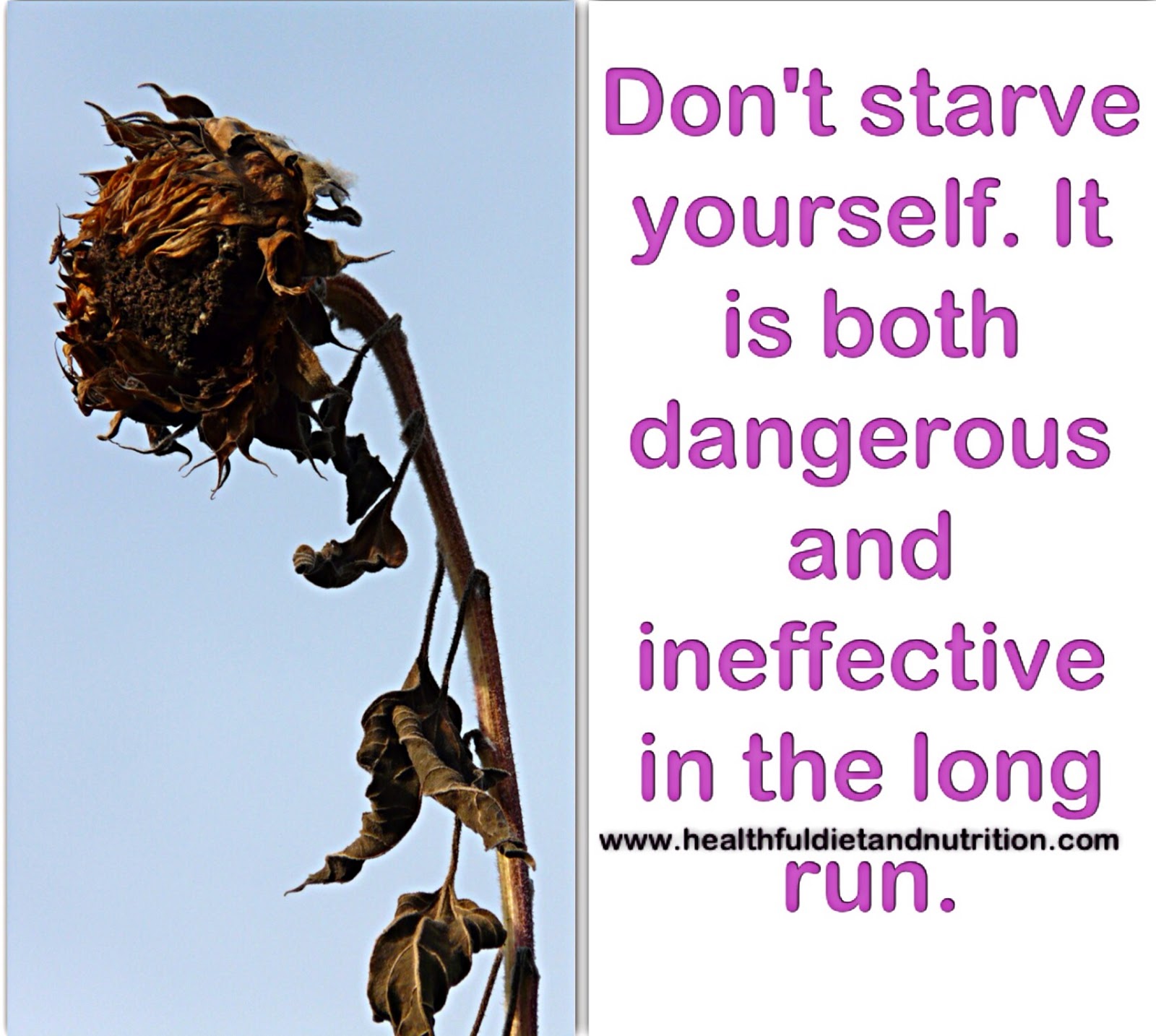 Don't Starve Yourself