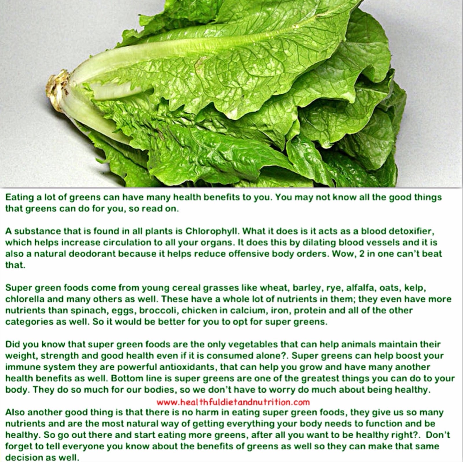 Benefits of Eating Super Green Foods