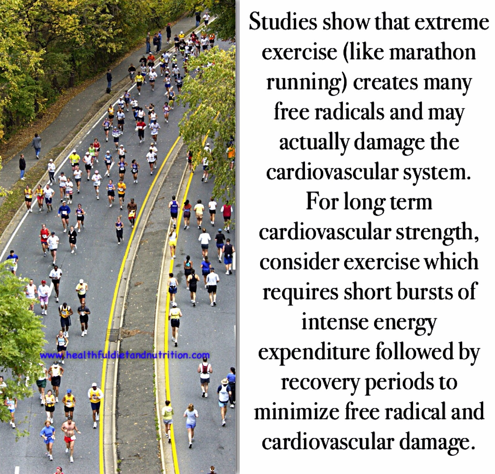 Avoid Extreme Exercise To Prevent Cardiovascular Damage