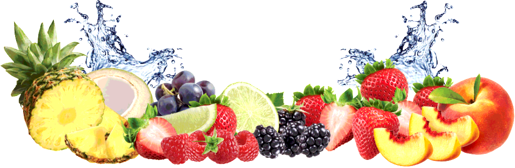 Diet health wellness