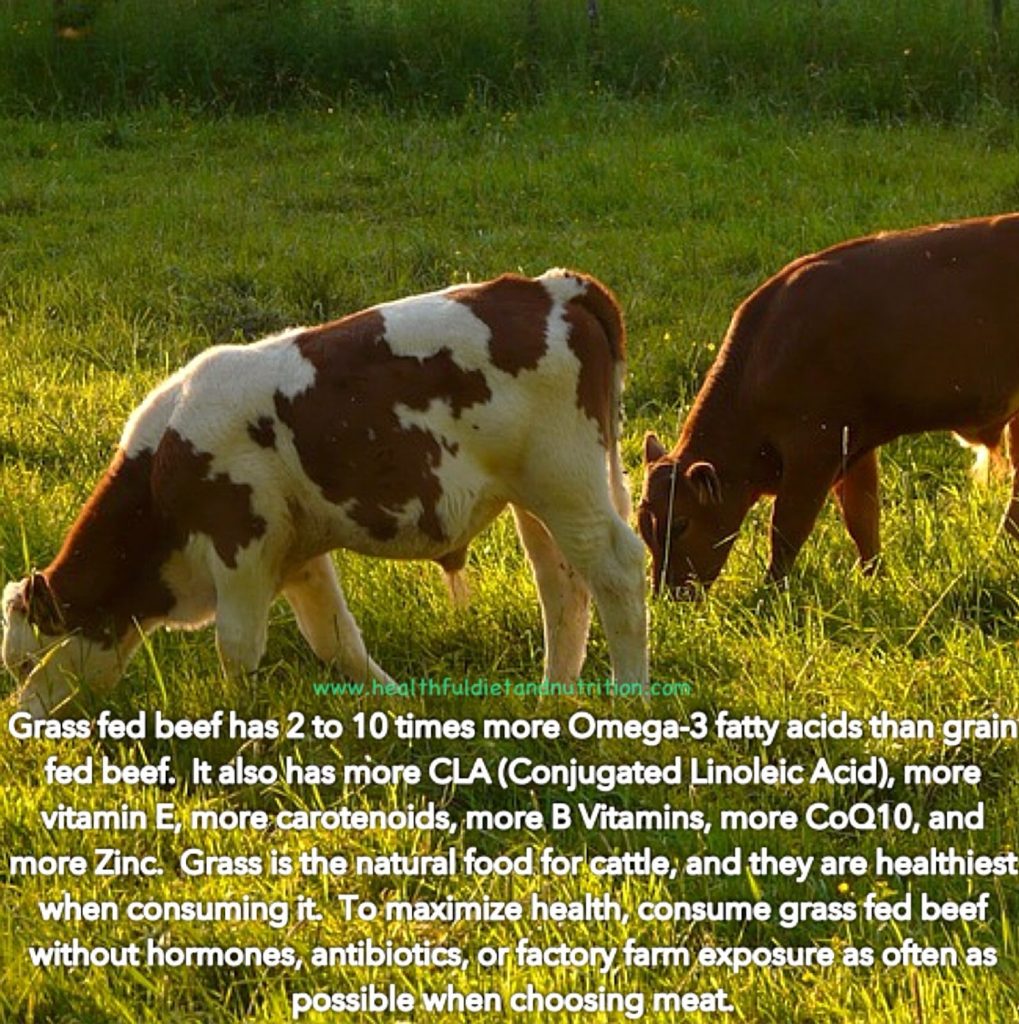 Consuming grass-fed beef can significantly boost your health due to its superior nutrient profile compared to conventional grain-fed beef. Grass-fed beef is higher in omega-3 fatty acids, which support heart health and reduce inflammation. It also contains more vitamins A and E, as well as antioxidants like glutathione. Additionally, this type of beef is lower in total fat and calories, making it a healthier protein choice. Beyond personal health benefits, choosing grass-fed supports sustainable farming practices and animal welfare. Incorporating grass-fed beef into your diet can help you achieve a balanced, nutrient-rich nutritional profile.