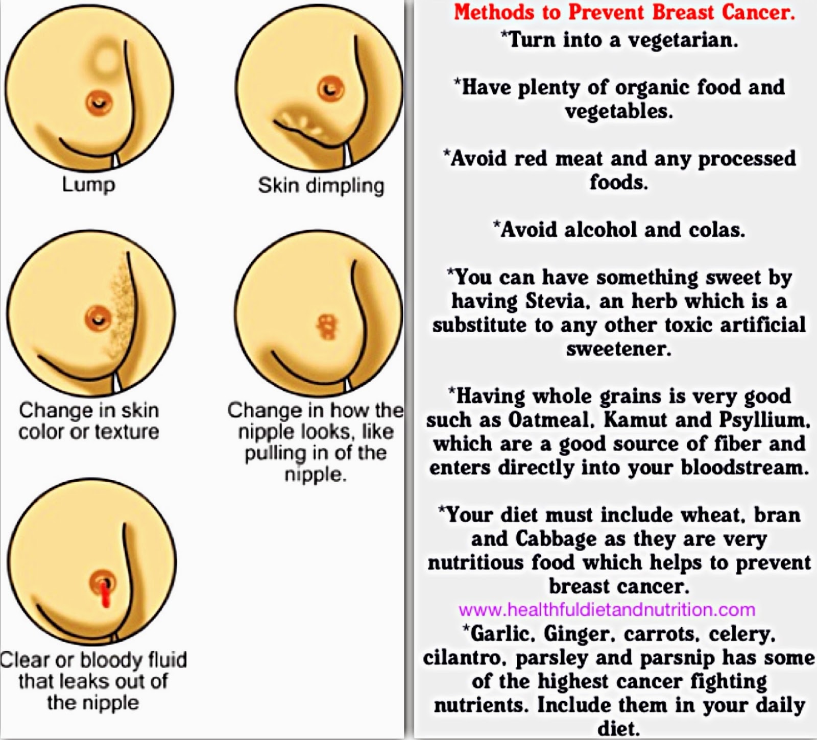 Methods To Prevent Breast Cancer