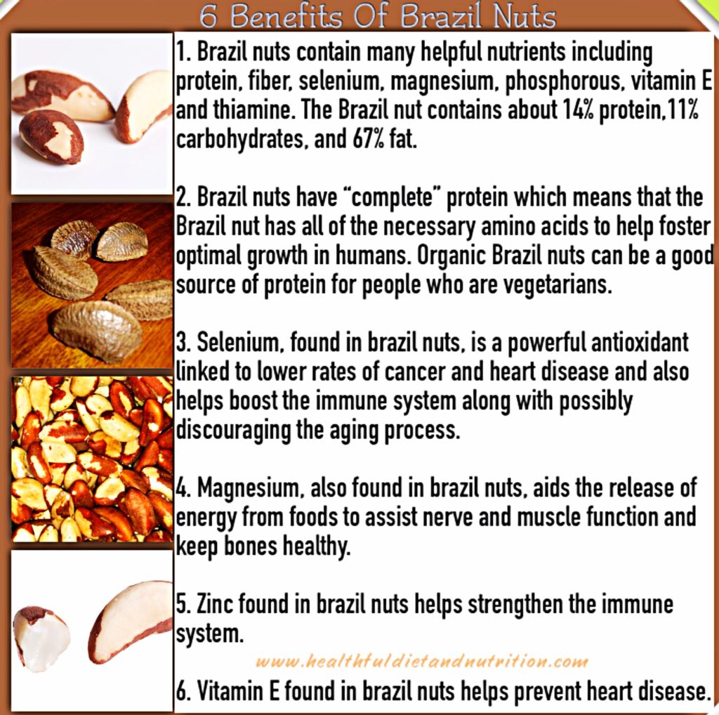 6 Benefits of Brazil Nuts Healthful Diet & Nutrition