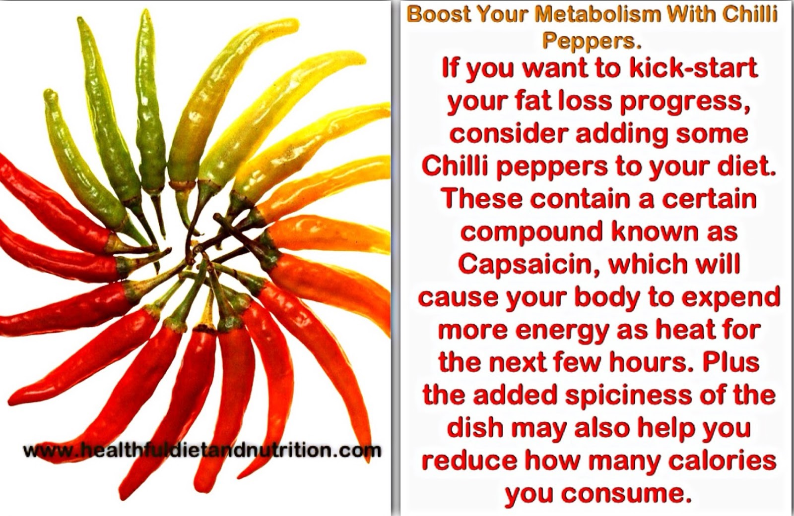 If you want to kick-start your fat loss progress, consider adding some Chilli peppers to your diet. These contain a certain compound known as Capsaicin, which will cause your body to expend more energy as heat for the next few hours. Plus the added spiciness of the dish may also help you reduce hown many calories you consume.