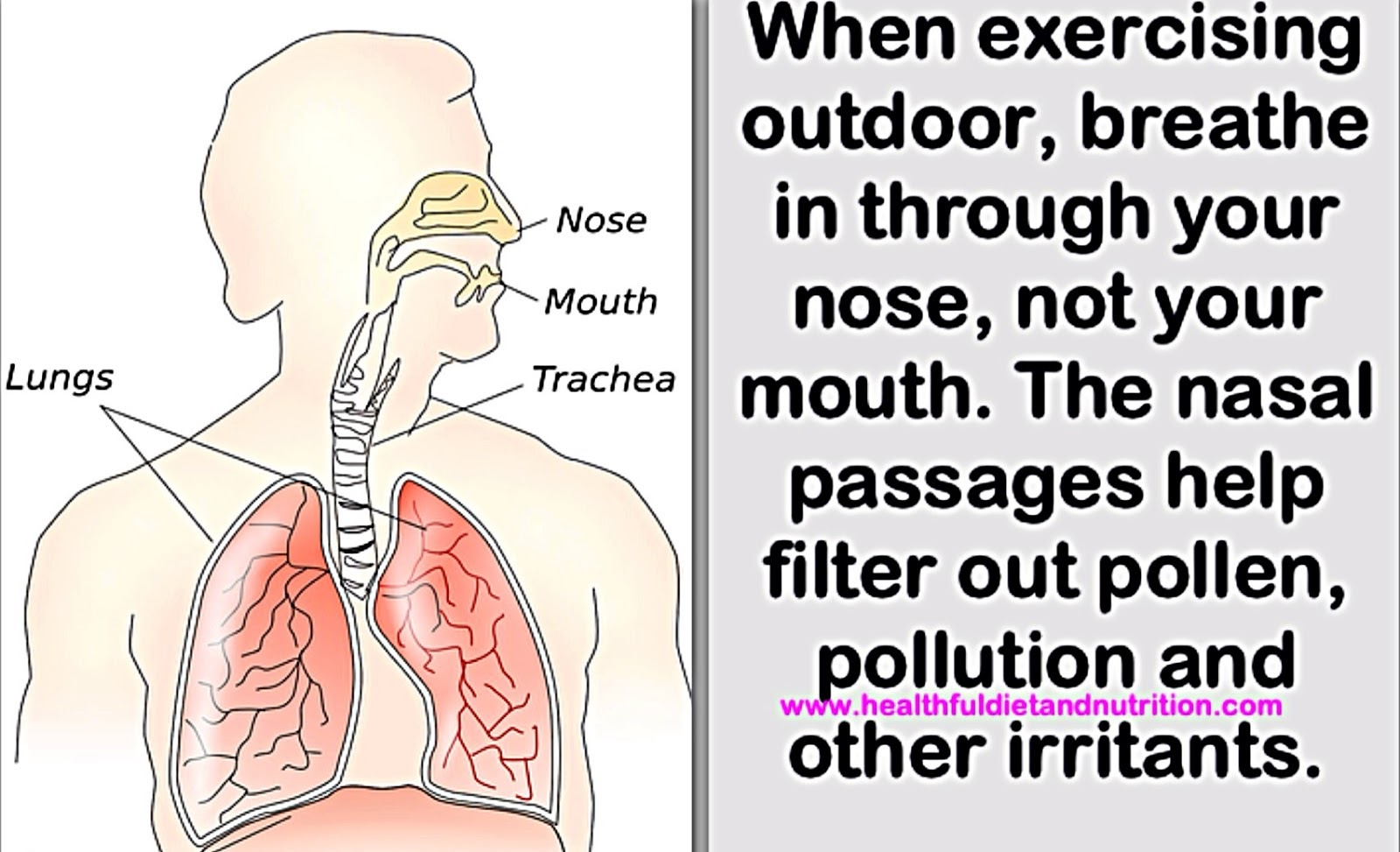 Breathe In Through Your Nose When Exercising