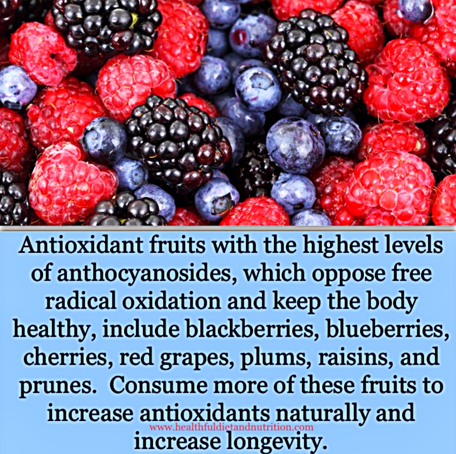 Antioxidant fruits with the highest levels of anthocyanosides, which oppose free radical oxidation and keep the body healthy, include blackberries, blueberries, cherries, red grapes, plums, raisins, and prunes. Consume more of these fruits to increase antioxidants naturally and increase longevity.