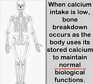 Calcium is a crucial mineral for maintaining bone health, playing a vital role in the development, strength, and density of bones. It is essential throughout life, especially during childhood, adolescence, and post-menopause when bone density can decline. Adequate calcium intake, combined with vitamin D, supports the bone remodeling process, helping to minimize the risk of osteoporosis and fractures. Dairy products, leafy greens, nuts, and fortified foods are excellent sources of calcium. Regular weight-bearing exercise also enhances bone strength. Maintaining a balanced diet rich in calcium is essential for lifelong bone health and overall physical well-being.