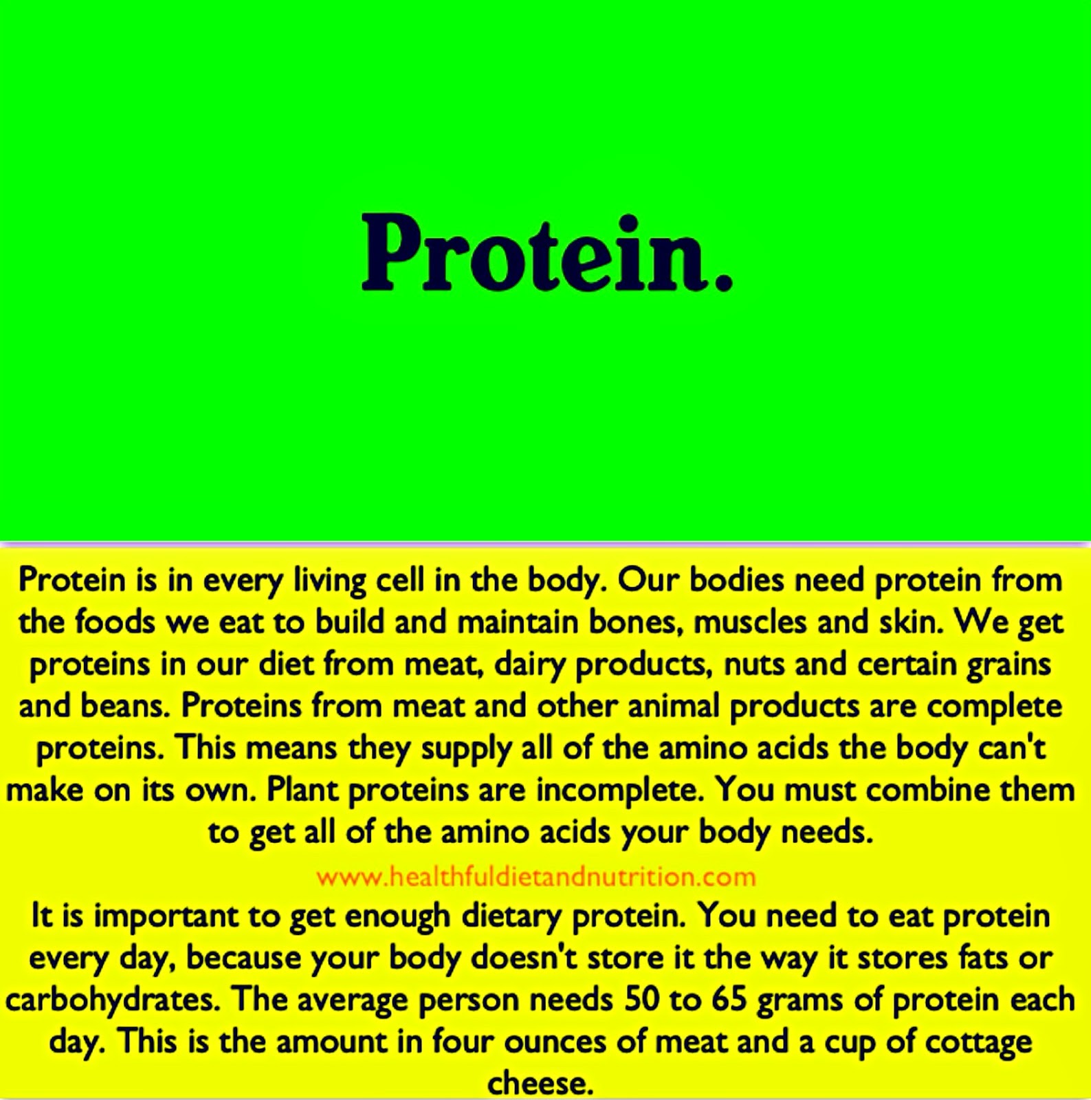 Dietary Protein
