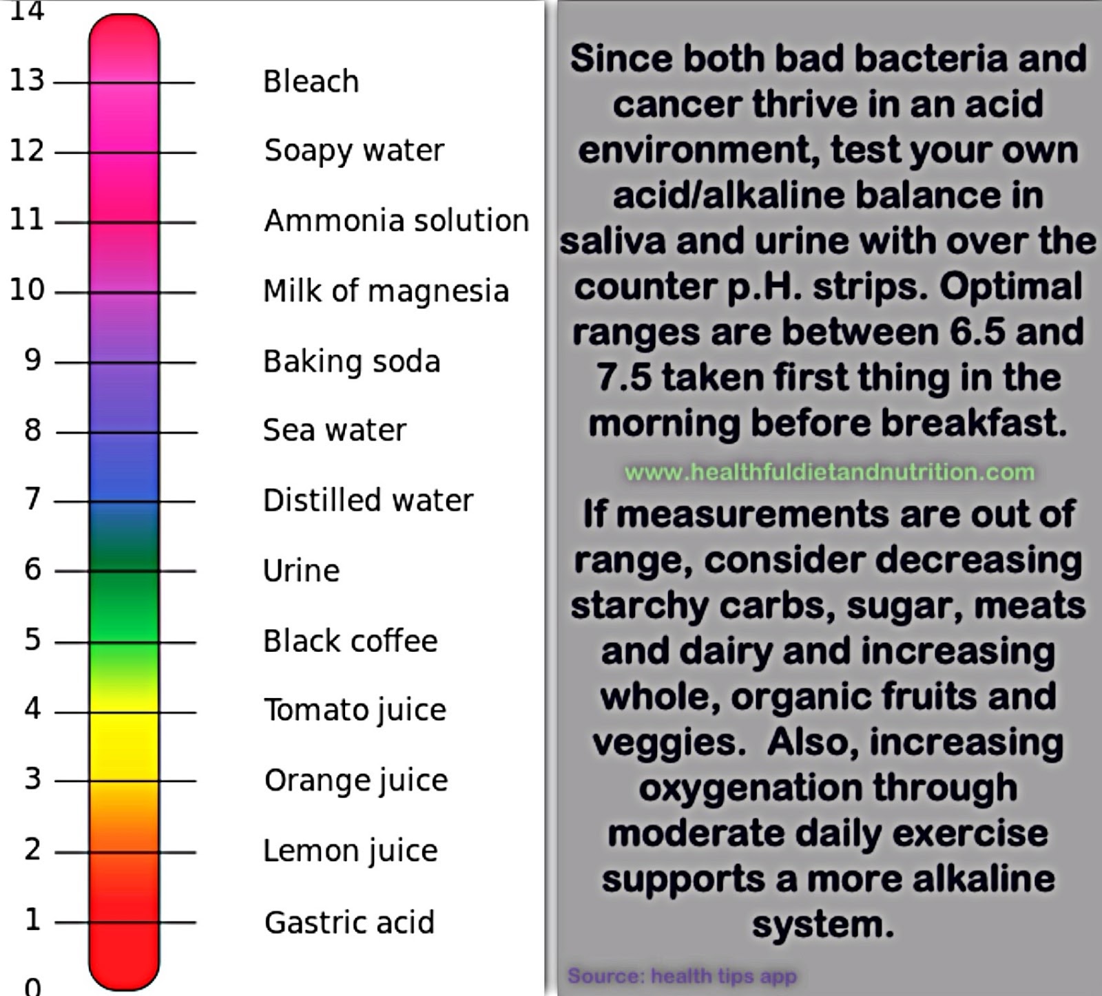 Maintain A Healthy Acid/Alkaline Balance In the Body