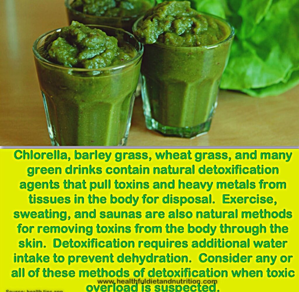 Natural detox methods focus on promoting the body's ability to eliminate toxins without harsh diets or fasts. Key approaches include increasing water intake to flush out impurities, consuming fiber-rich foods like fruits, vegetables, and whole grains to support digestion, and incorporating herbal teas such as dandelion and green tea, which aid liver function. Regular physical activity enhances circulation and perspiration, helping to remove toxins. Practicing mindful breathing and stress reduction techniques also support detoxification by promoting overall well-being. Finally, getting adequate sleep allows the body to repair and detoxify effectively. These methods encourage holistic health and well-being.