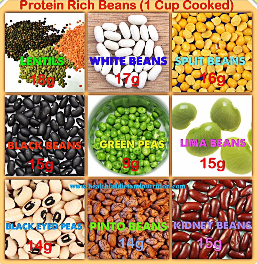 (162/294.) Protein Rich Beans🫘 myhealthfuldiet