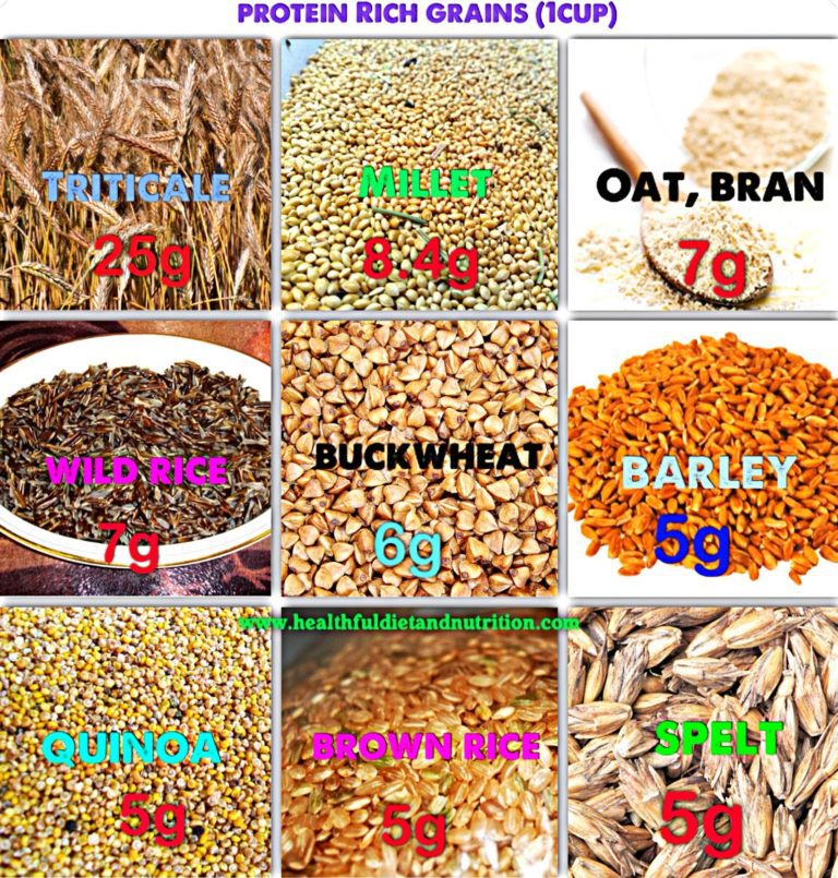 (163/294.) Protein Rich Grains