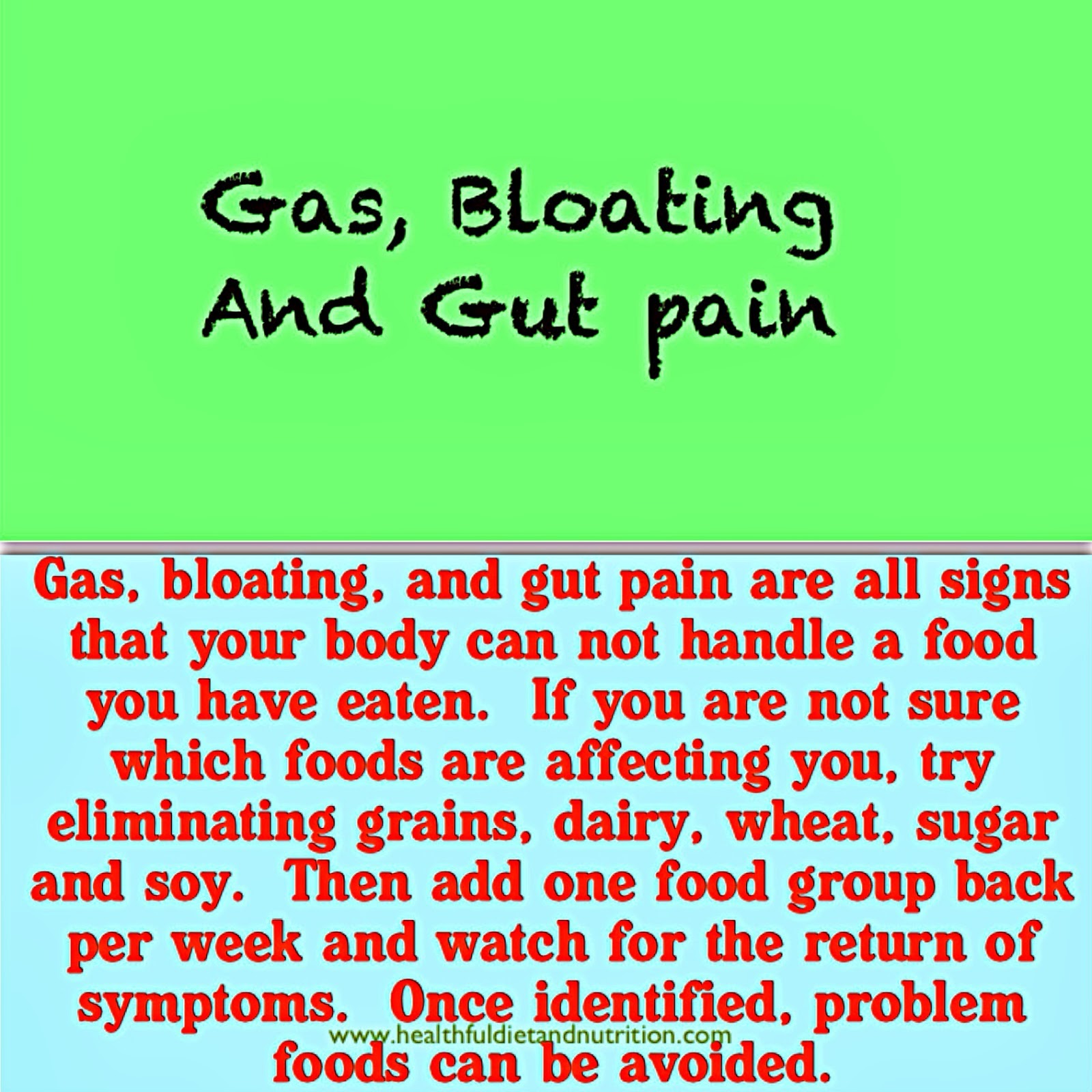 Gas, Bloating and Gut Pain Remedy