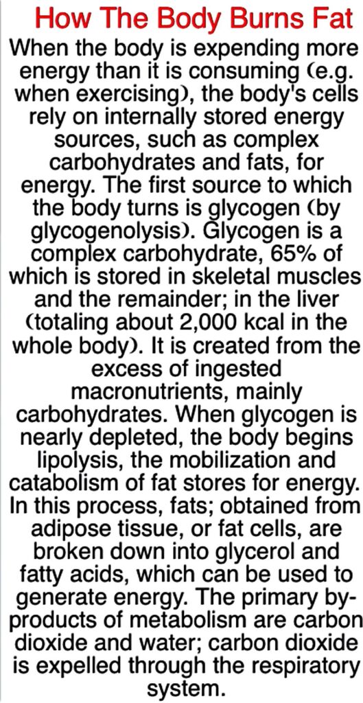 (9/294.) How Does The Body Burn Fat? myhealthfuldiet