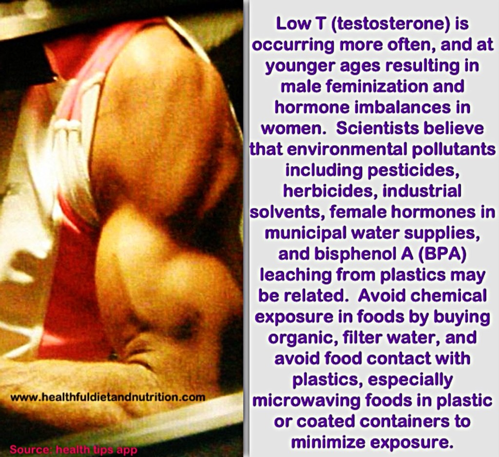 Low Testosterone And Chemical Exposure