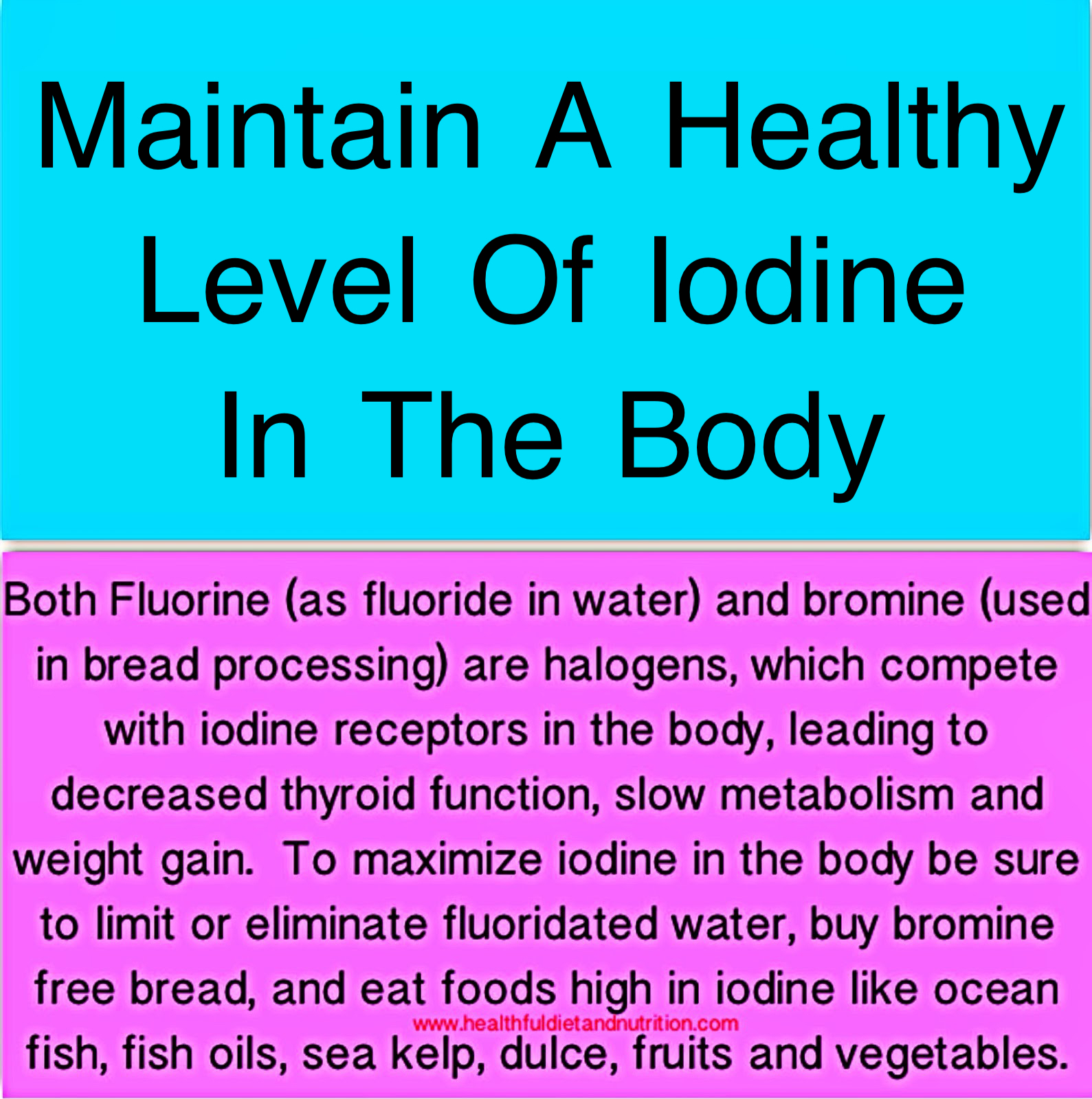 Maintain A Healthy Level Of Iodine In The Body