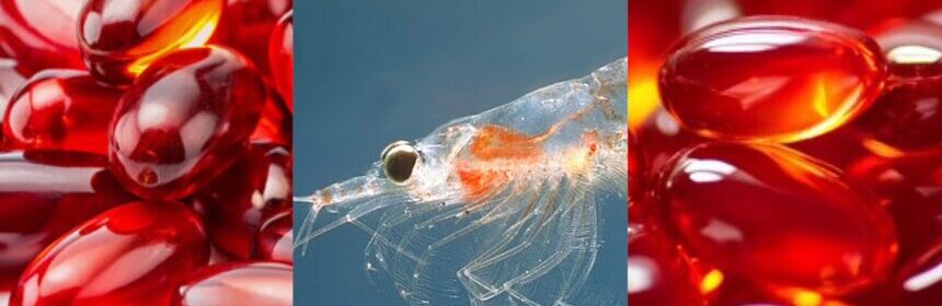 The Health Benefits of Krill Oil
