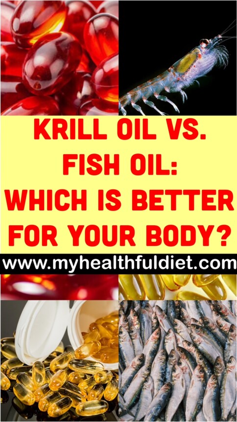Krill Oil VS. Fish Oil: Which is Better for Your Body?