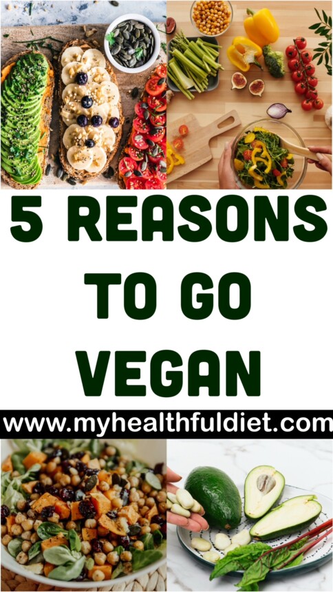 Reasons To Go Vegan