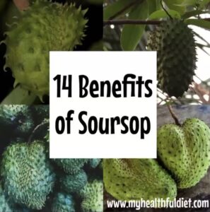 14 Benefits of Soursop