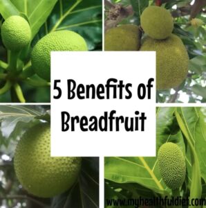 5 Benefits of Breadfruit