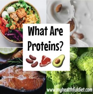 What Are Proteins?