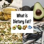 What is Dietary Fat?