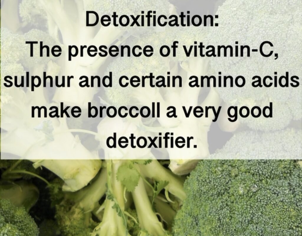 2. Detoxification: The presence of vitamin-C, sulphur and certain amino acids make broccoll a very good detoxifier.
