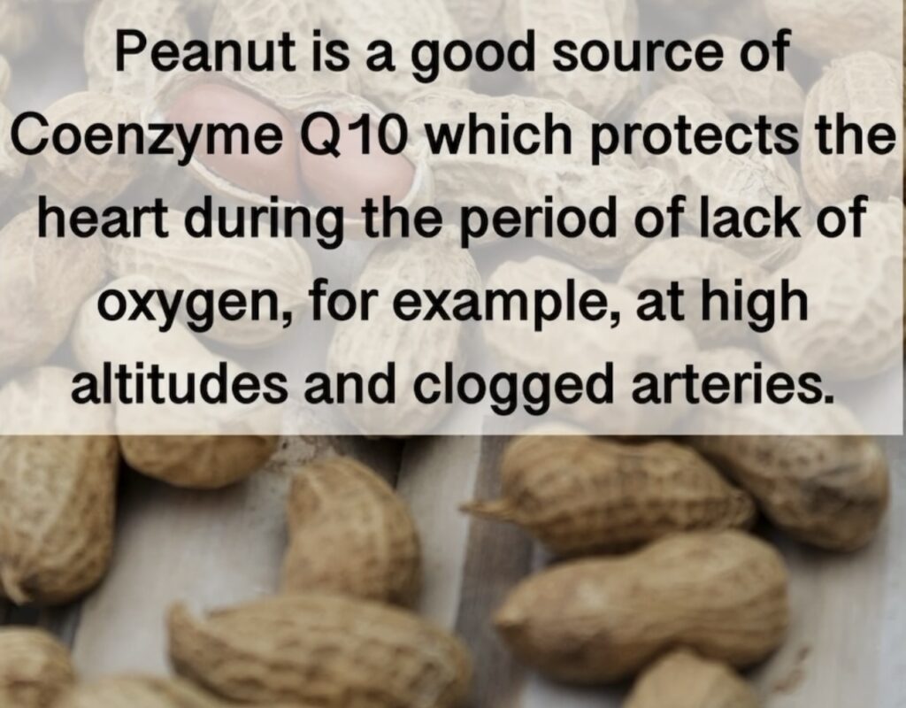 2. Peanut is a good source of Coenzyme Q10 which protects the heart during the period of lack of oxygen, for example, at high altitudes and clogged arteries.
