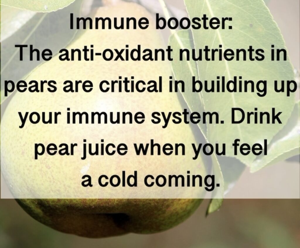 7. Immune booster: The anti-oxidant nutrients in pears are critical in building up your immune system. Drink pear juice when you feel a cold coming.