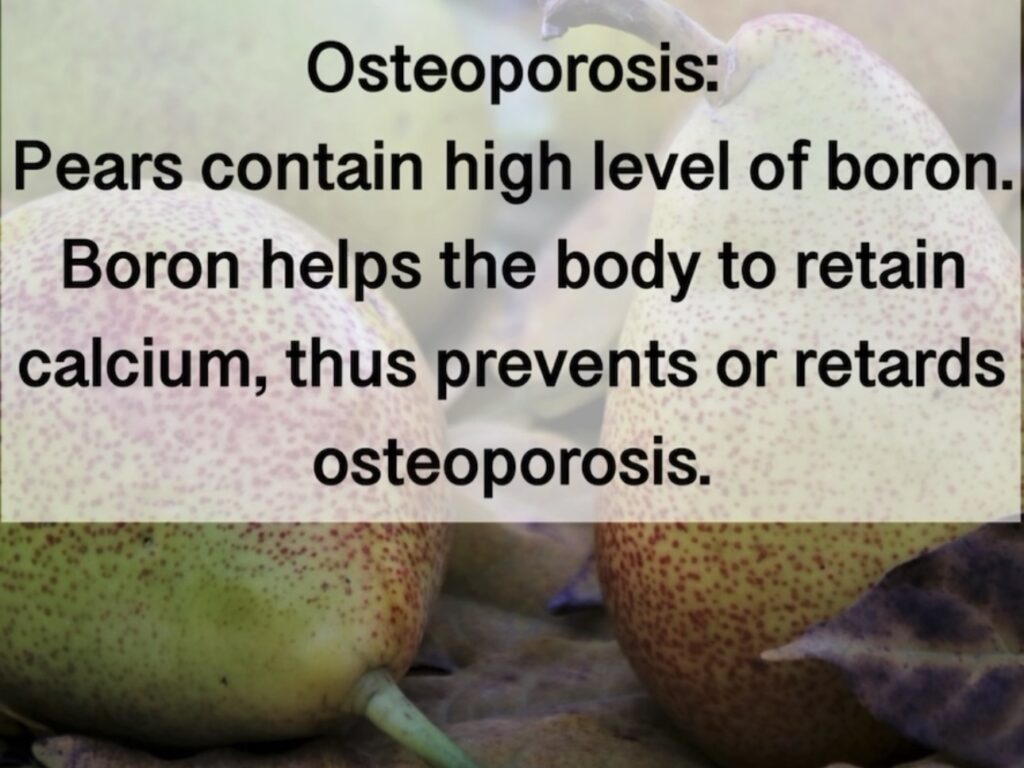 9. Osteoporosis: Pears contain high level of boron. Boron helps the body to retain calcium, thus prevents or retards osteoporosis.