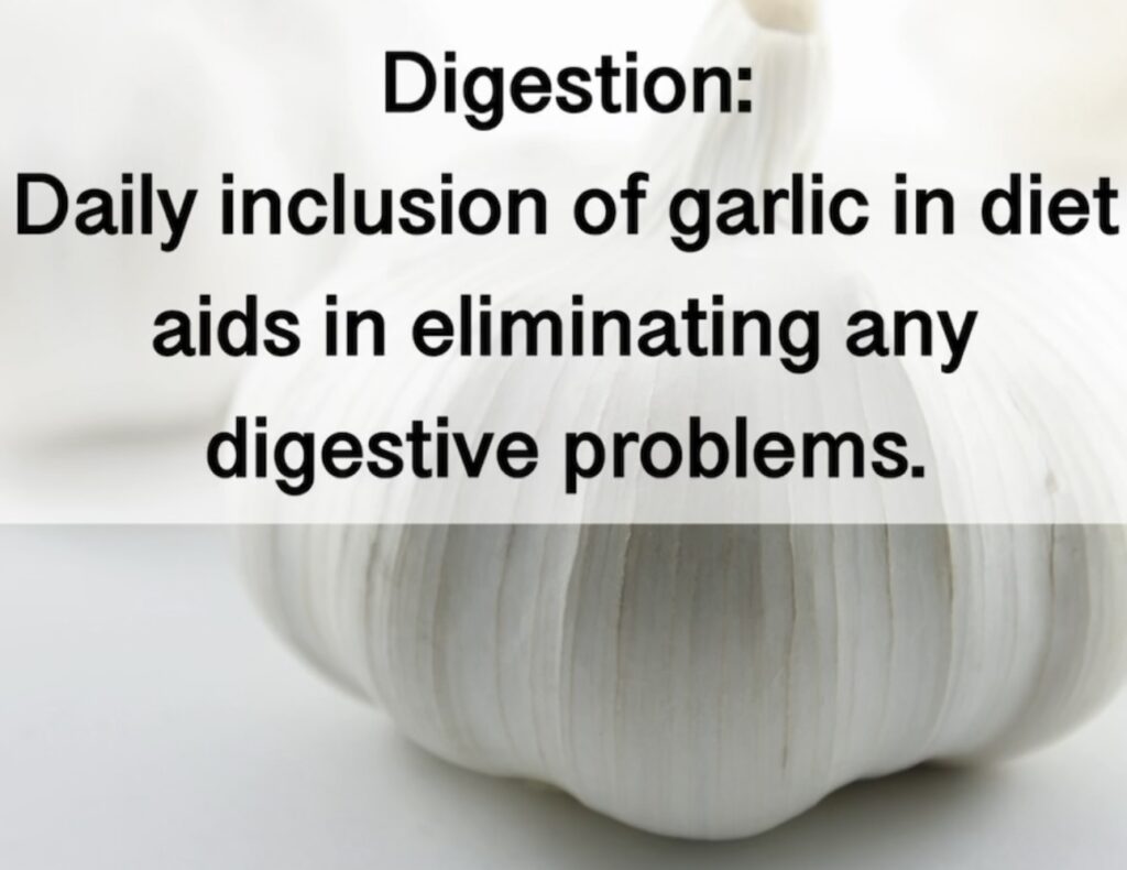 4. Digestion: Daily inclusion of garlic in diet aids in eliminating any digestive problems.