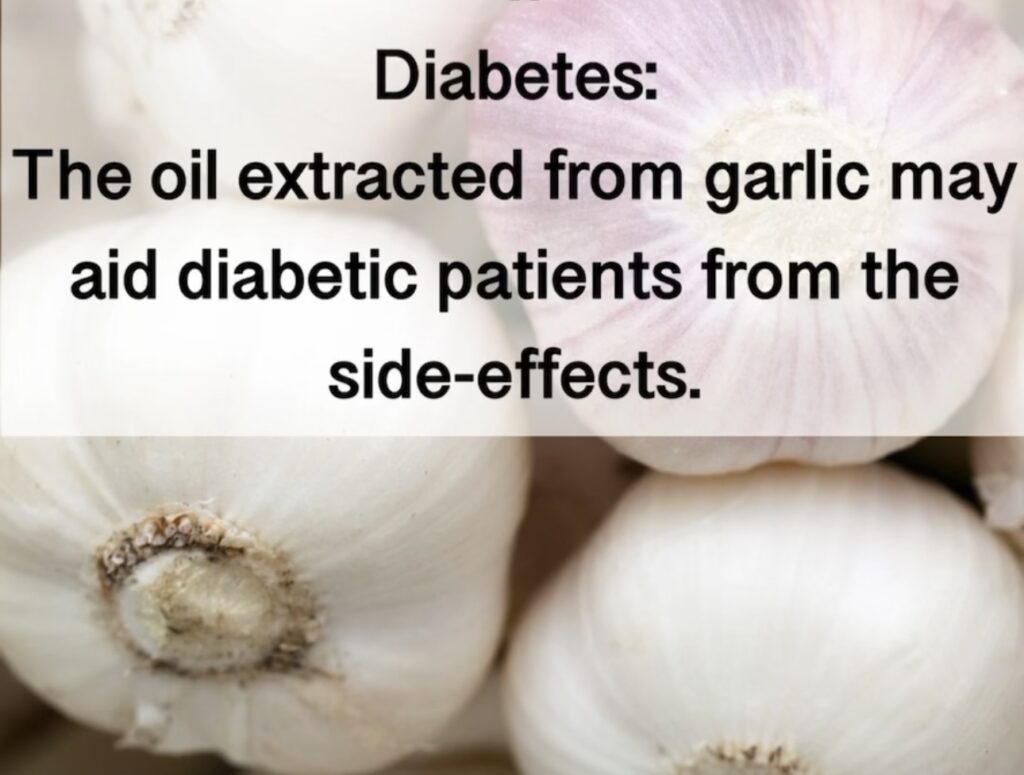 1. Diabetes: The oil extracted from garlic may aid diabetic patients from the side-effects.