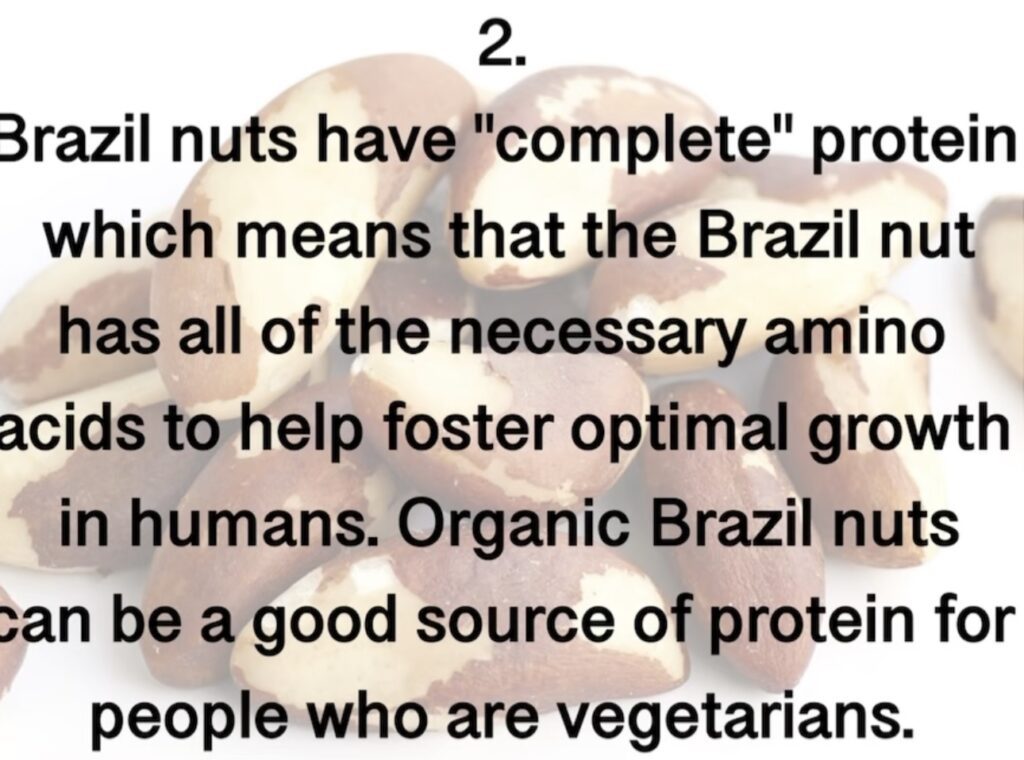 Brazil nuts have "complete" protein which means that the Brazil nut has all of the necessary amino acids to help foster optimal growth in humans. Organic Brazil nuts can be a good source of protein for people who are vegetarians.