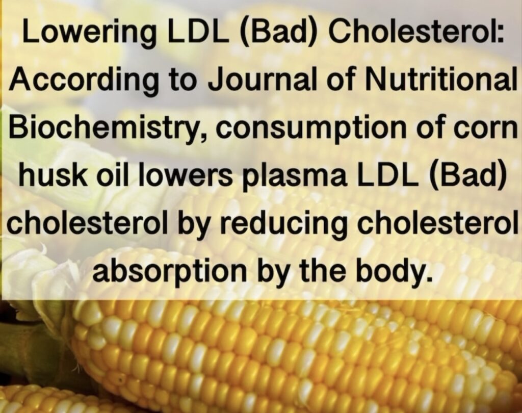 6. Lowering LDL (Bad) Cholesterol: According to Journal of Nutritional Biochemistry, consumption of corn husk oil lowers plasma LDL (Bad) cholesterol by reducing cholesterol absorption by the body.