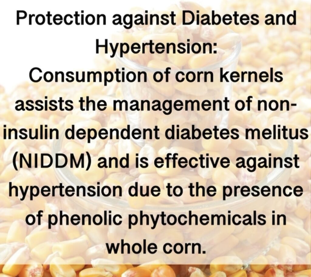 Protection against Diabetes and Hypertension: Consumption of corn kernels assists the management of non- insulin dependent diabetes melitus (NIDDM) and is effective against hypertension due to the presence of phenolic phytochemicals in whole corn.7 