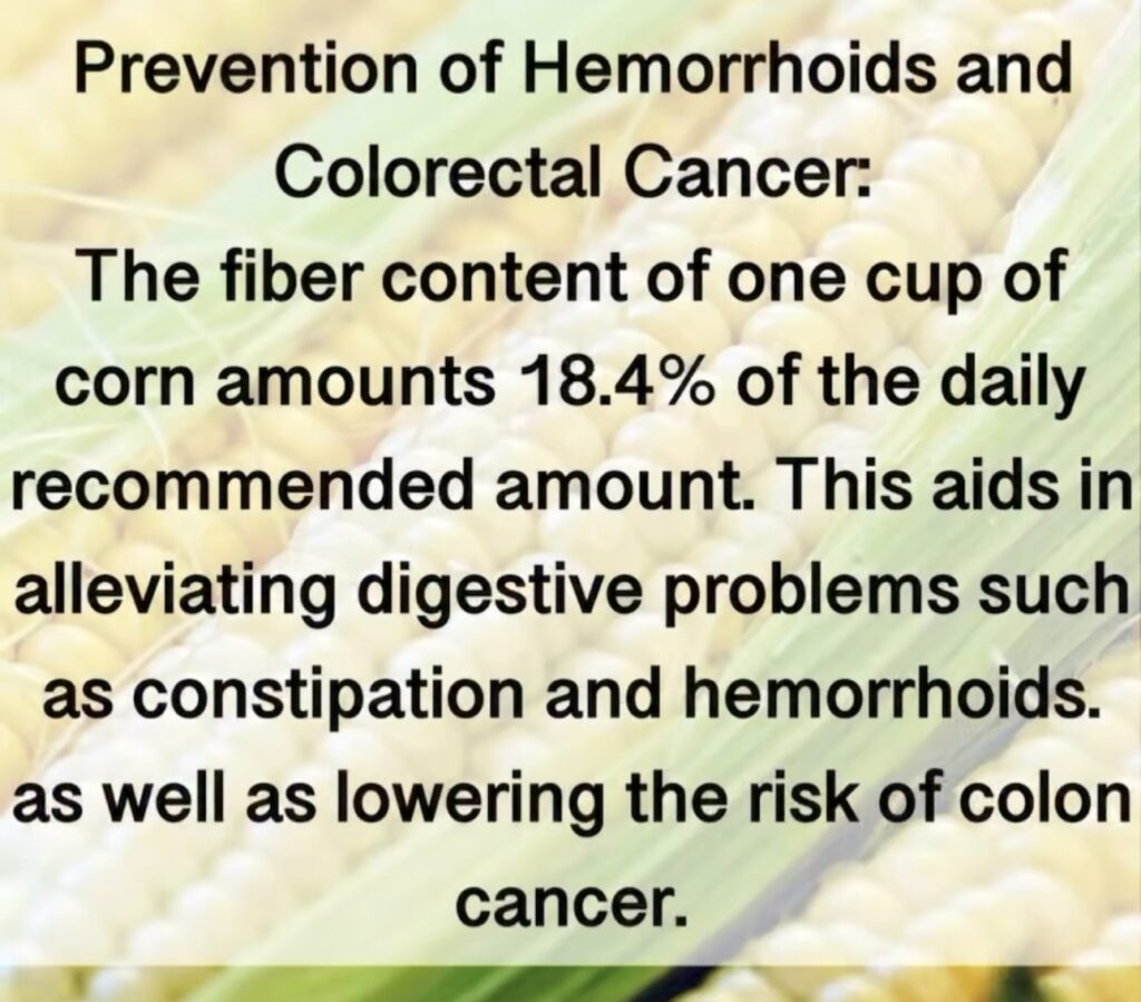 1. Prevention of Hemorrhoids and Colorectal Cancer: The fiber content of one cup of corn amounts 18.4% of the daily recommended amount. This aids in alleviating digestive problems such as constipation and hemorrhoids. as well as lowering the risk of colon cancer.