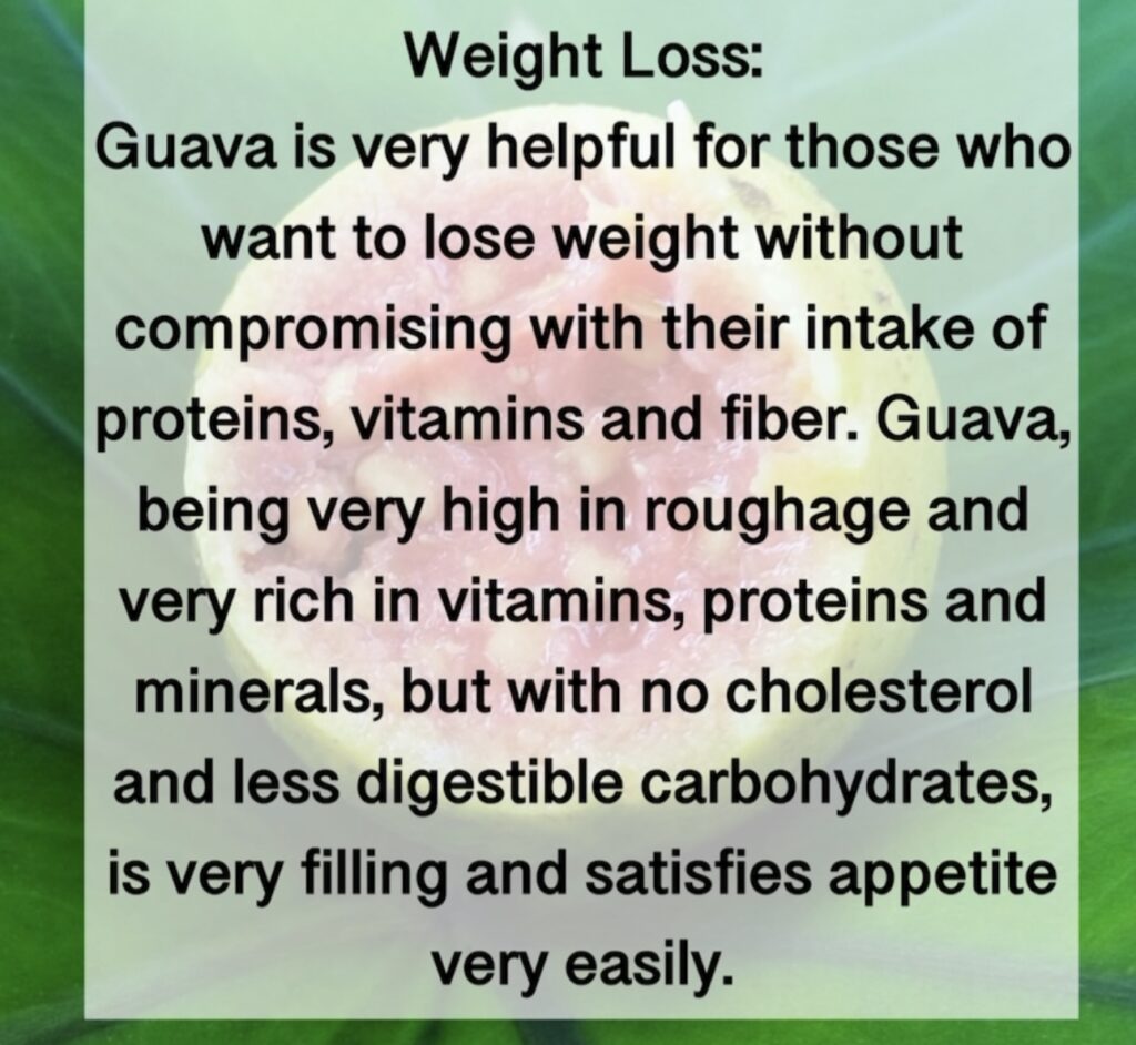 6. Weight Loss: Guava is very helpful for those who want to lose weight without compromising with their intake of proteins, vitamins and fiber. Guava, being very high in roughage and very rich in vitamins, proteins and minerals, but with no cholesterol and less digestible carbohydrates, is very filling and satisfies appetite very easily.