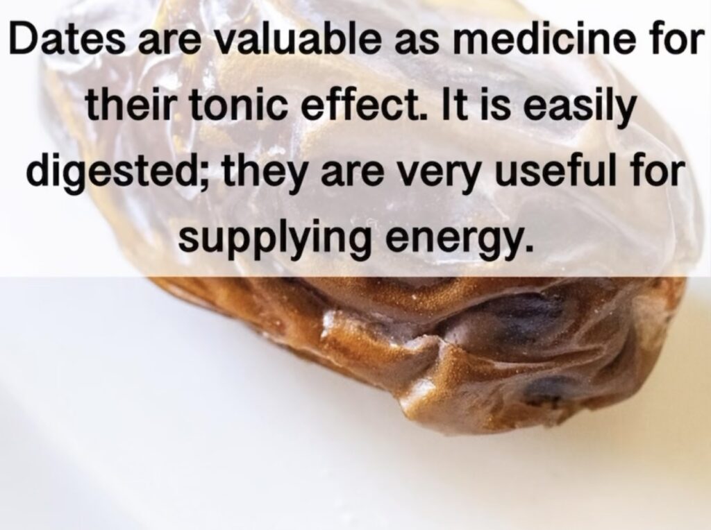 1. Dates are valuable as medicine for their tonic effect. It is easily digested; they are very useful for supplying energy.