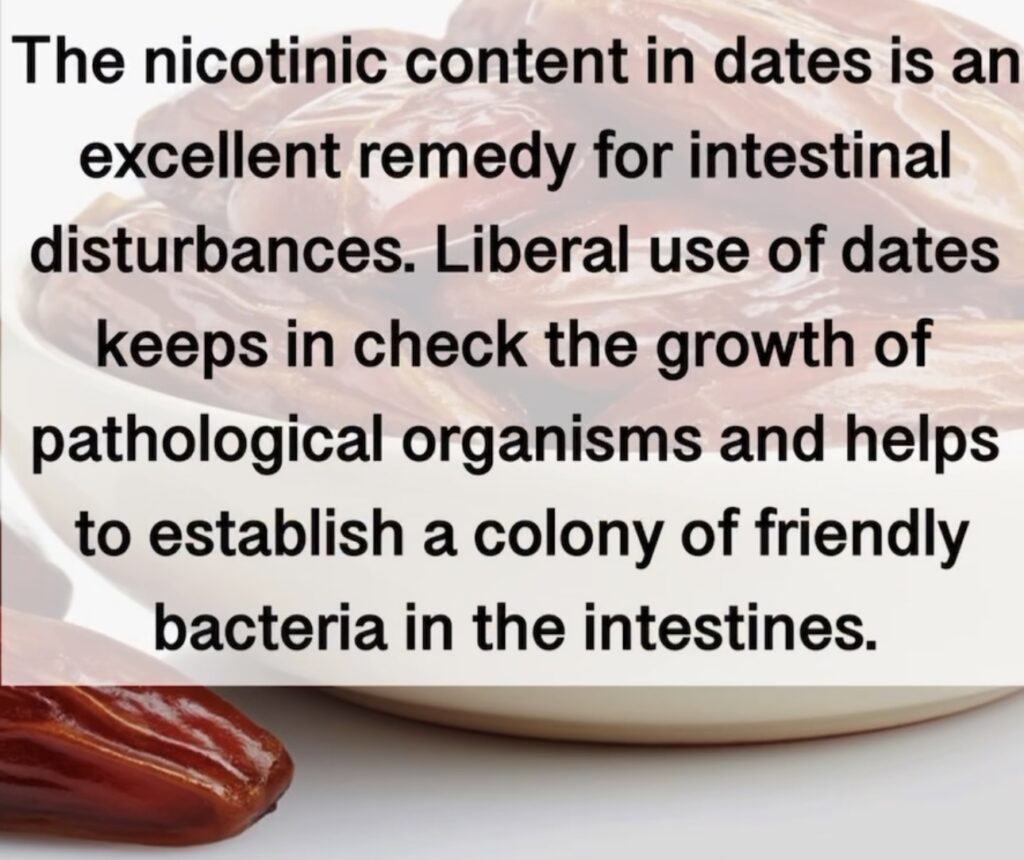 2. The nicotinic content in dates is an excellent remedy for intestinal disturbances. Liberal use of dates keeps in check the growth of pathological organisms and helps to establish a colony of friendly bacteria in the intestines.