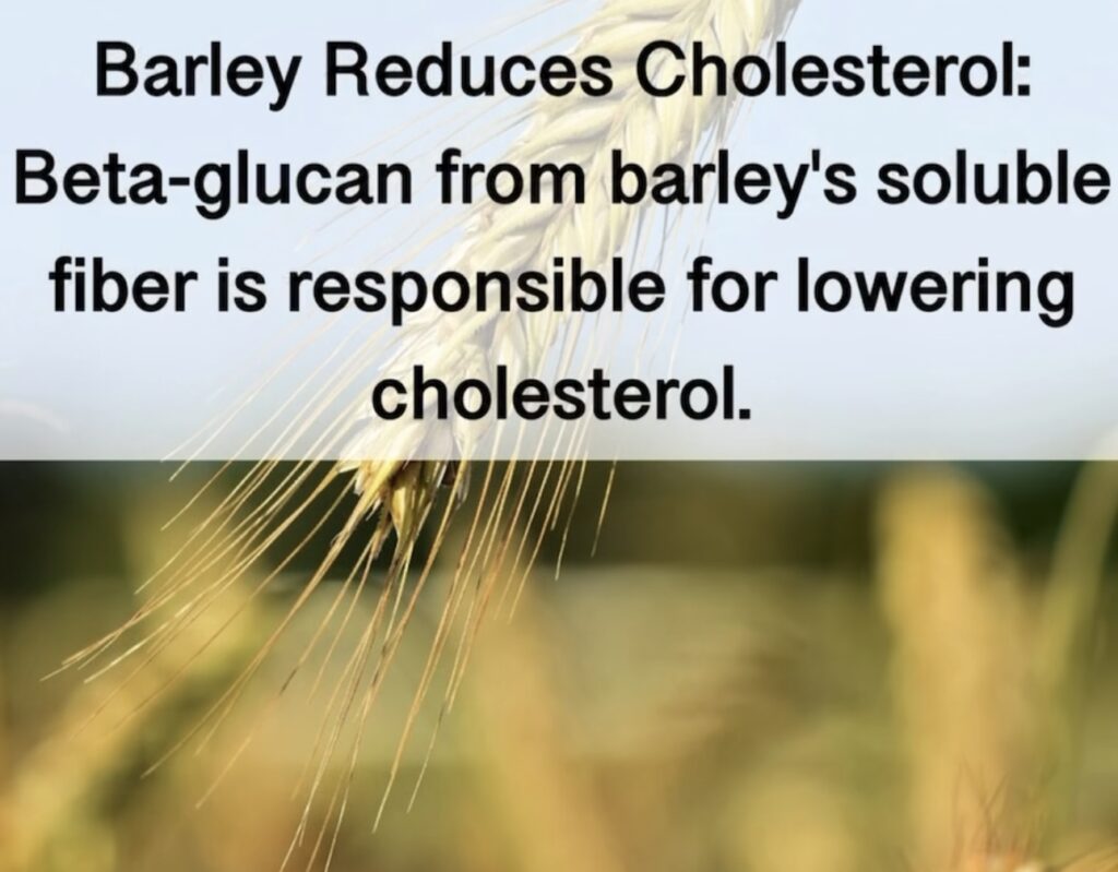 2. Barley Reduces Cholesterol: Beta-glucan from barley's soluble fiber is responsible for lowering cholesterol.