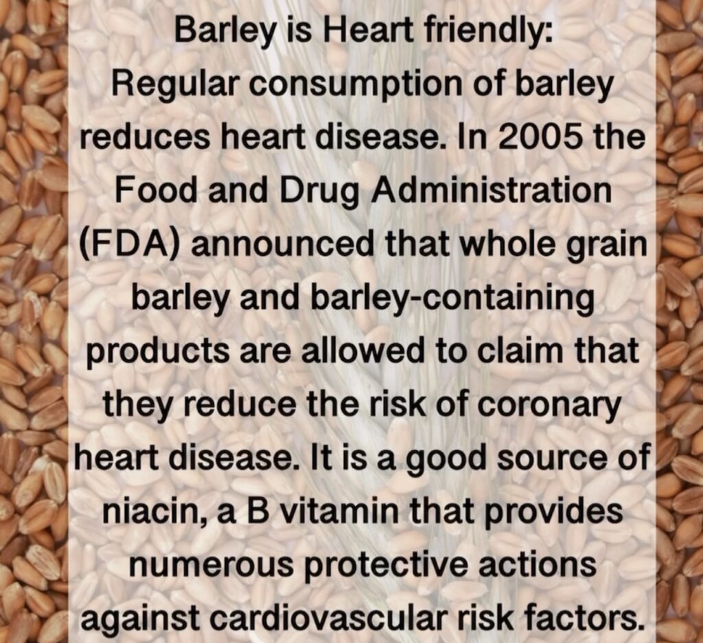 4. Barley is Heart friendly: Regular consumption of barley reduces heart disease. In 2005 the Food and Drug Administration (FDA) announced that whole grain barley and barley-containing products are allowed to claim that they reduce the risk of coronary heart disease. It is a good source of niacin, a B vitamin that provides numerous protective actions against cardiovascular risk factors.