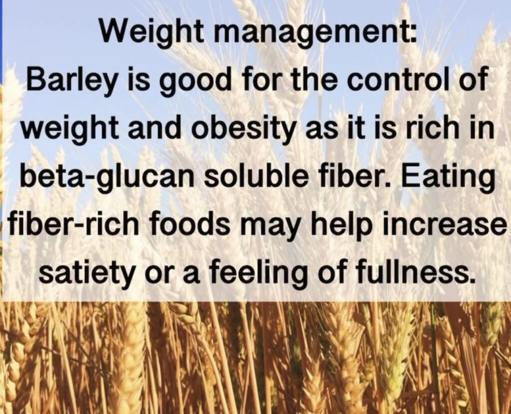 5. Weight management: Barley is good for the control of weight and obesity as it is rich in beta-glucan soluble fiber. Eating fiber-rich foods may help increase satiety or a feeling of fullness.