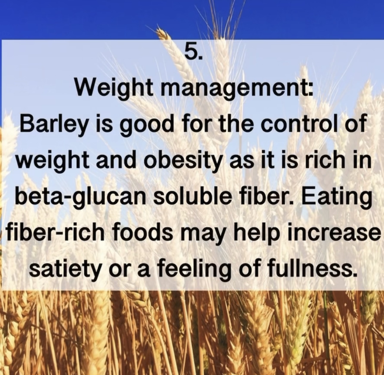 5. Weight management: Barley is good for the control of weight and obesity as it is rich in beta-glucan soluble fiber. Eating fiber-rich foods may help increase satiety or a feeling of fullness.