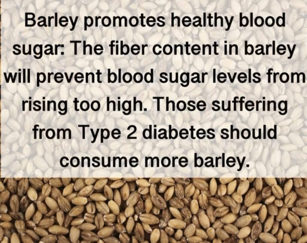 1. Barley promotes healthy blood sugar: The fiber content in barley will prevent blood sugar levels from rising too high. Those suffering from Type 2 diabetes should consume more barley.