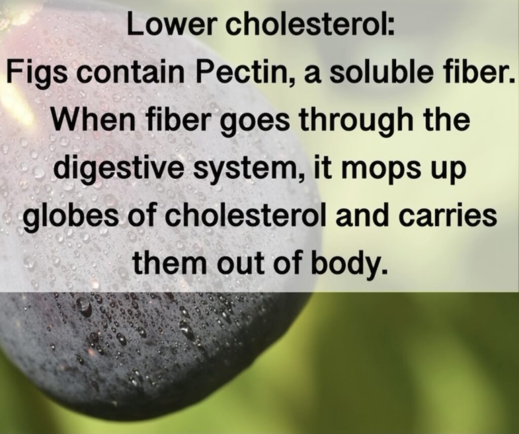 3. Lower cholesterol: Figs contain Pectin, a soluble fiber. When fiber goes through the digestive system, it mops up globes of cholesterol and carries them out of body.
