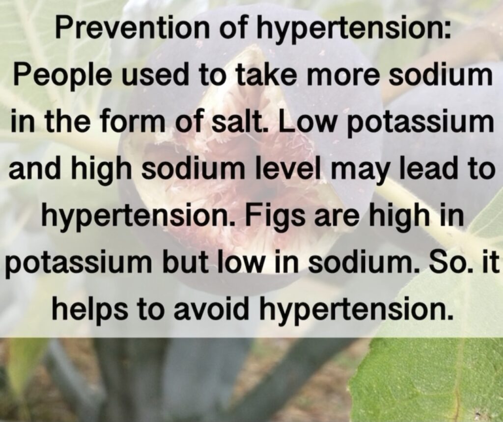 8. Prevention of hypertension: People used to take more sodium in the form of salt. Low potassium and high sodium level may lead to hypertension. Figs are high in potassium but low in sodium. So. it helps to avoid hypertension.