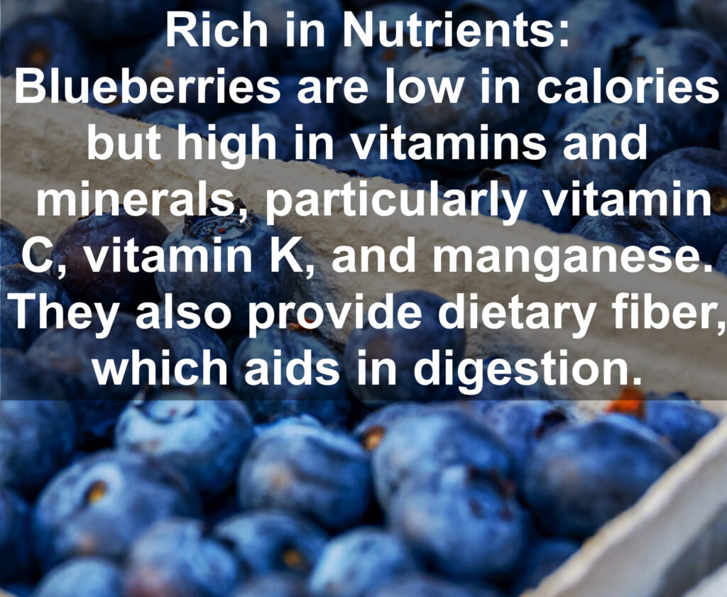 1. Rich in Nutrients: Blueberries are low in calories but high in vitamins and minerals, particularly vitamin C, vitamin K, and manganese. They also provide dietary fiber, which aids in digestion.