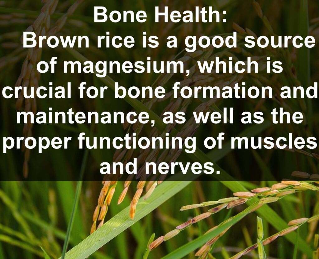 8. Bone Health: Brown rice is a good source of magnesium, which is crucial for bone formation and maintenance, as well as the proper functioning of muscles and nerves.