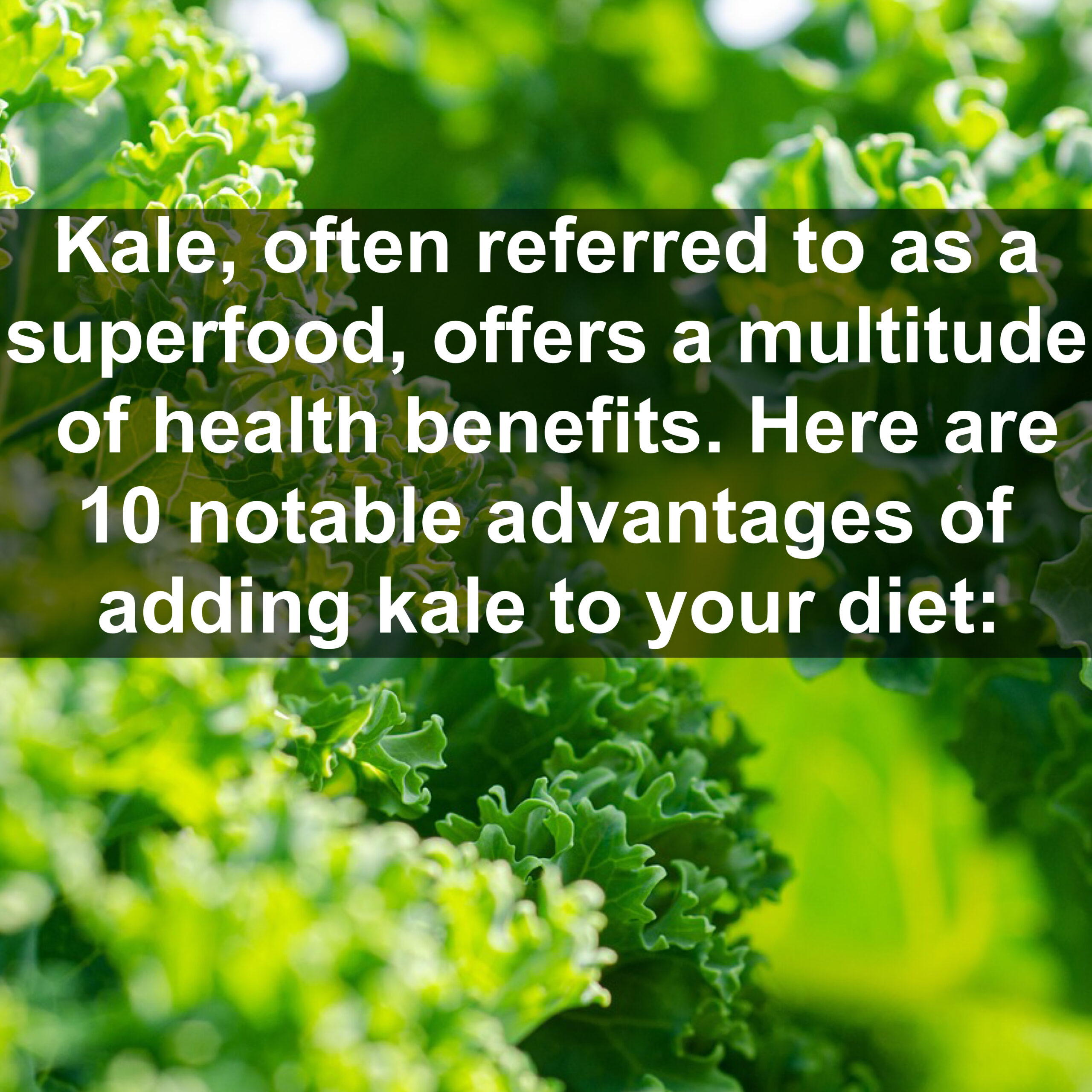Kale, often referred to as a superfood, offers a multitude of health benefits. Here are 10 notable advantages of adding kale to your diet: